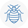 Bed Bug Extermination In Stepney