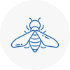 Bee Nest Removal Stepney