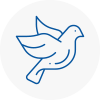 Bird Prevention Stepney