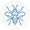 Stepney Hornet Nest Removals