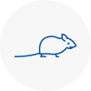 Mice Exterminators In Stepney