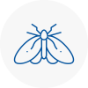 Moth Control Specialists In Stepney