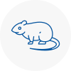 Rat Control Stepney