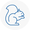 Stepney Rodent Removals
