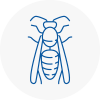 Stepney Wasp Nest Removal